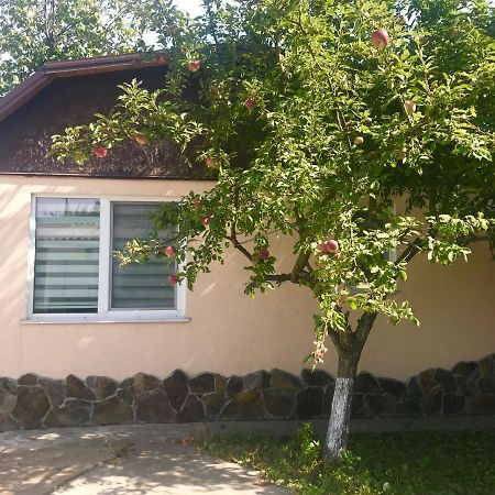 Apartments With Kitchen And Garden Kiev Dış mekan fotoğraf