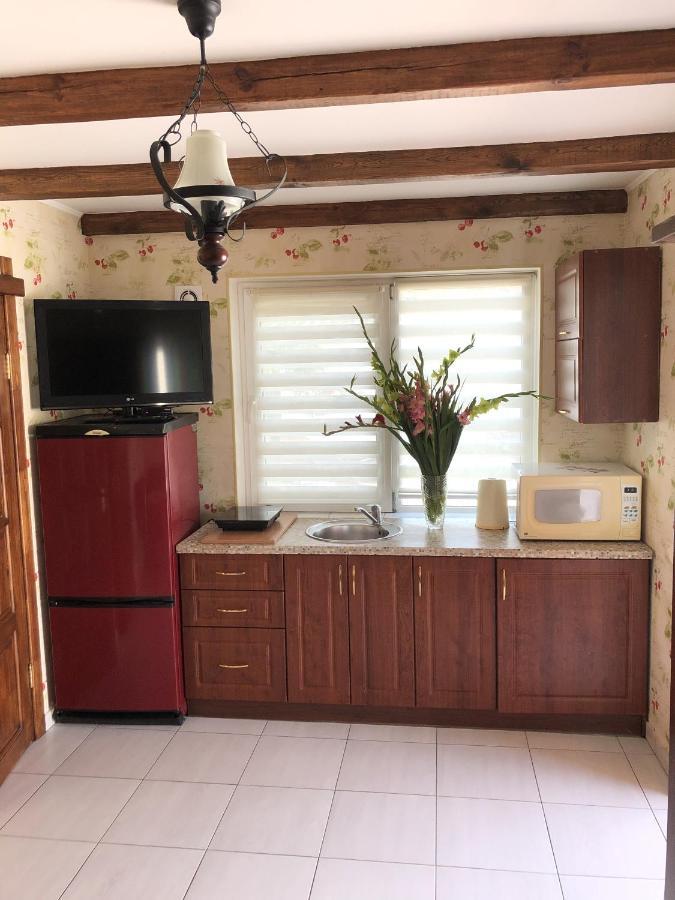 Apartments With Kitchen And Garden Kiev Dış mekan fotoğraf