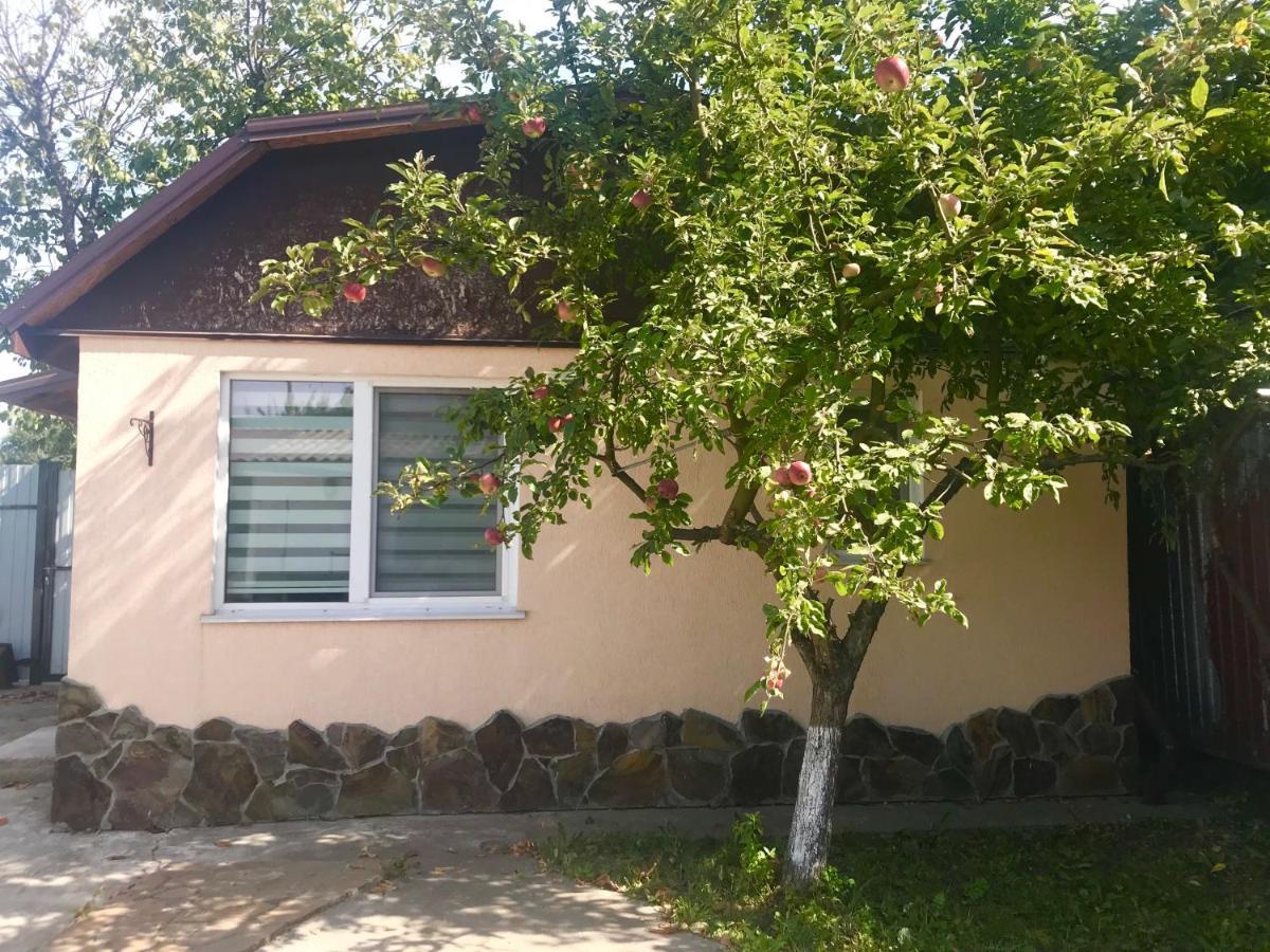Apartments With Kitchen And Garden Kiev Dış mekan fotoğraf